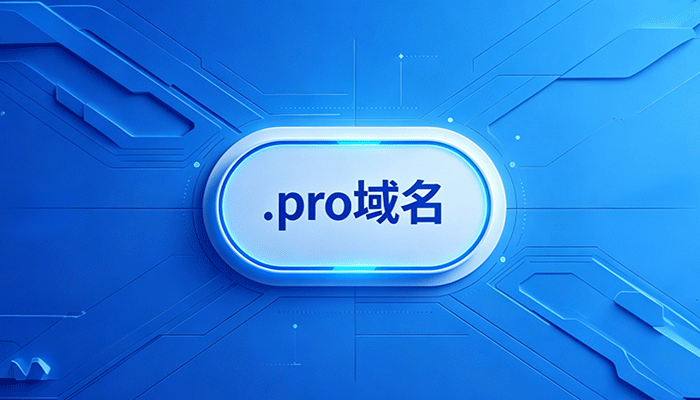 为什么每一位专业人士都该在锐成信息注册 .pro 域名？