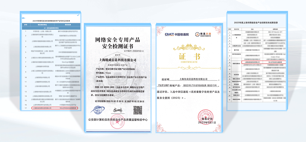 锐成信息2025年度盘点:创新驱动发展,全域拓展启新程