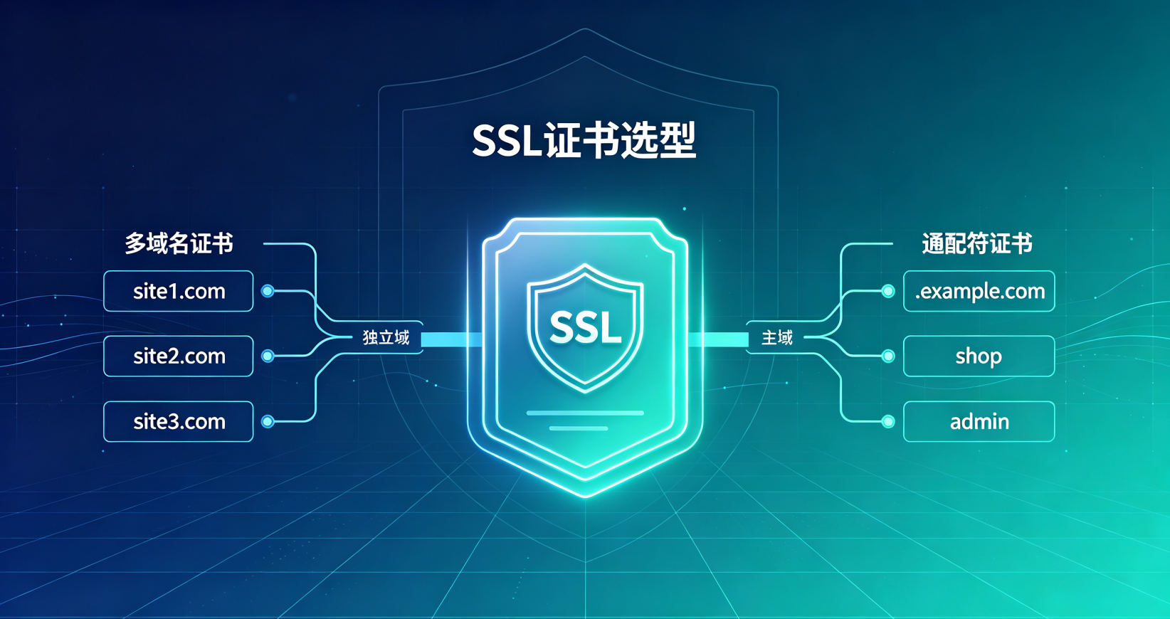 多域名网站应该选多域名SSL证书还是通配符证书？选型指南